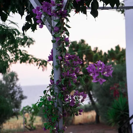 Platanos New Holiday home Nea Moudania