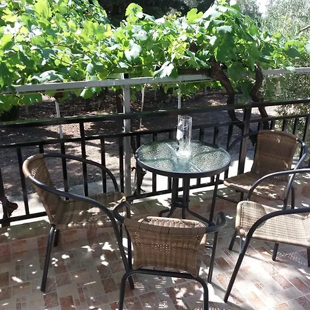 Platanos New * Nea Moudania