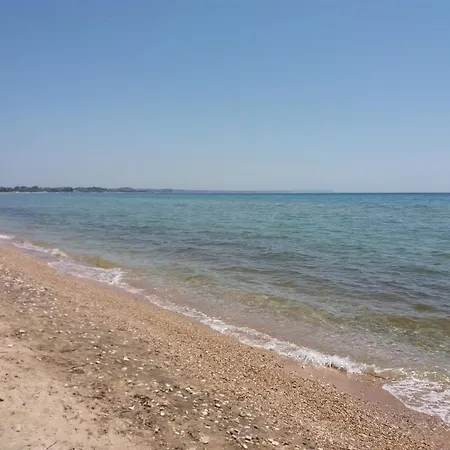 Platanos New * Nea Moudania